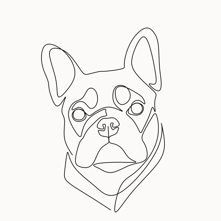 Single line portrait design